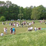 Bilder från midsommarfirandet 3